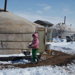 No matter the outside temperature, herders must continue their daily tasks of looking after their livestock. That includes the children when they are at home - there is a short school holiday in January and then a longer one for the Mongolian Lunar New Year - Tsagaan Sar